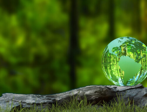 The Essential Role of ESG, Sustainability, and Digital Transformation